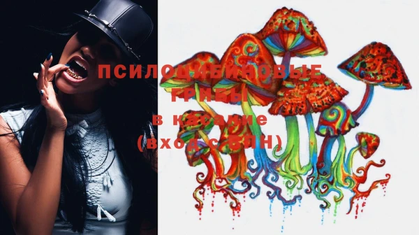 хмурый Балахна
